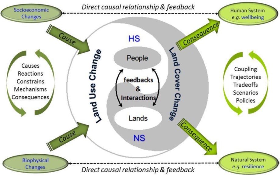Picture depicting the direct causal relationship and feedback.