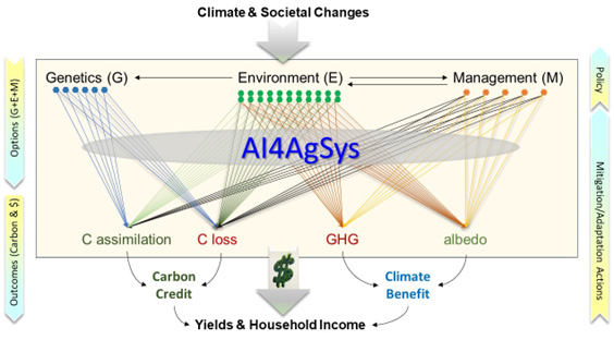 The Conceptual Framework of AI4AgSys
