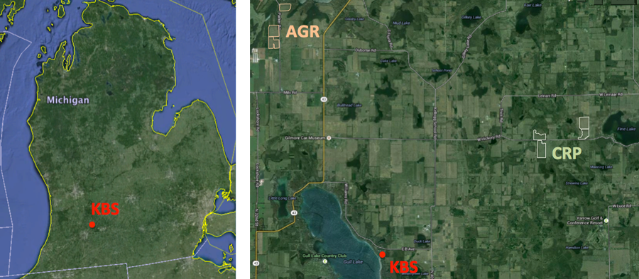 an image depicting the location of the seven eddy covariance towers at KBS